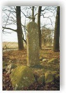 Pamiątkowa stela z wapienia gotlandzkiego    Foto: J.Tatoń